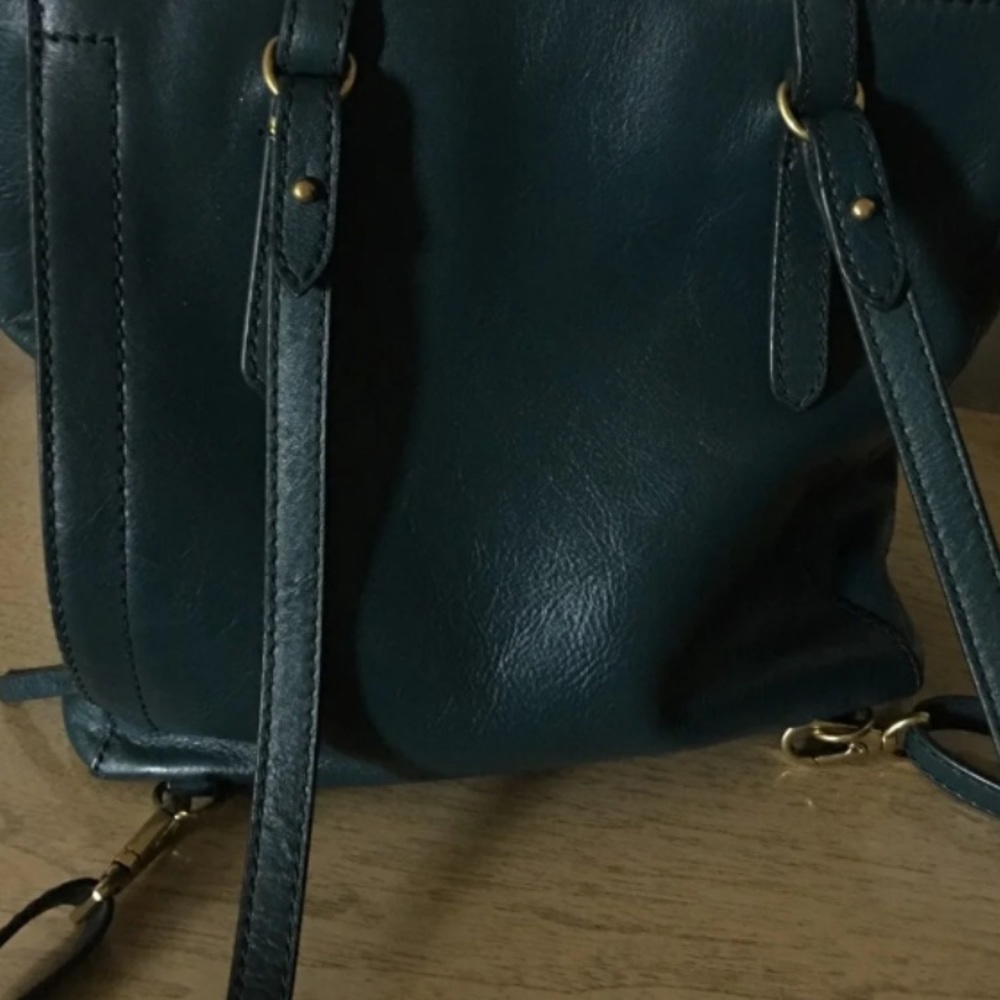 Fossil back back